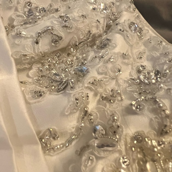Maggie Soterro Wedding Dress size 6/8, veil and ball gown slip - Picture 3 of 9